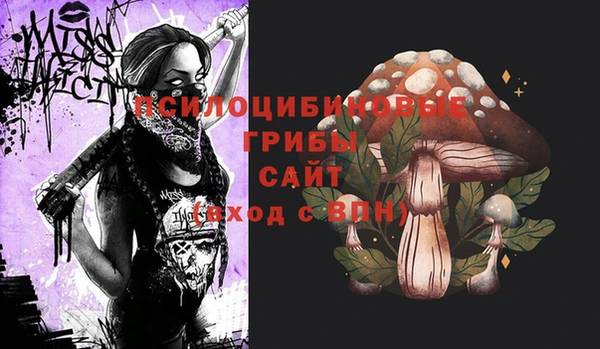 МДПВ Белоозёрский