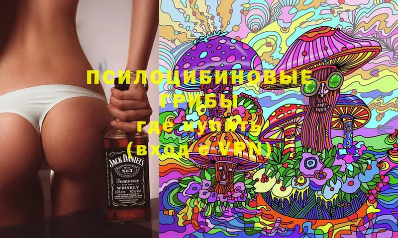 Галлюциногенные грибы MAGIC MUSHROOMS  Артёмовск 